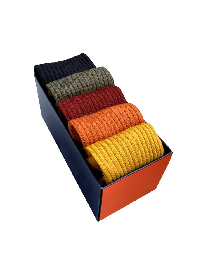 Semainier de 5 paires de chaussettes en laine vierge - Ivy League